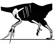 Therizinosaurus known material