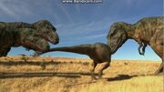 DP Daspletosaurus