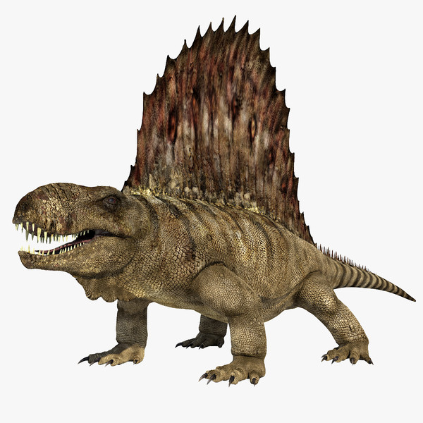 Dimetrodon | Animal Database | Fandom