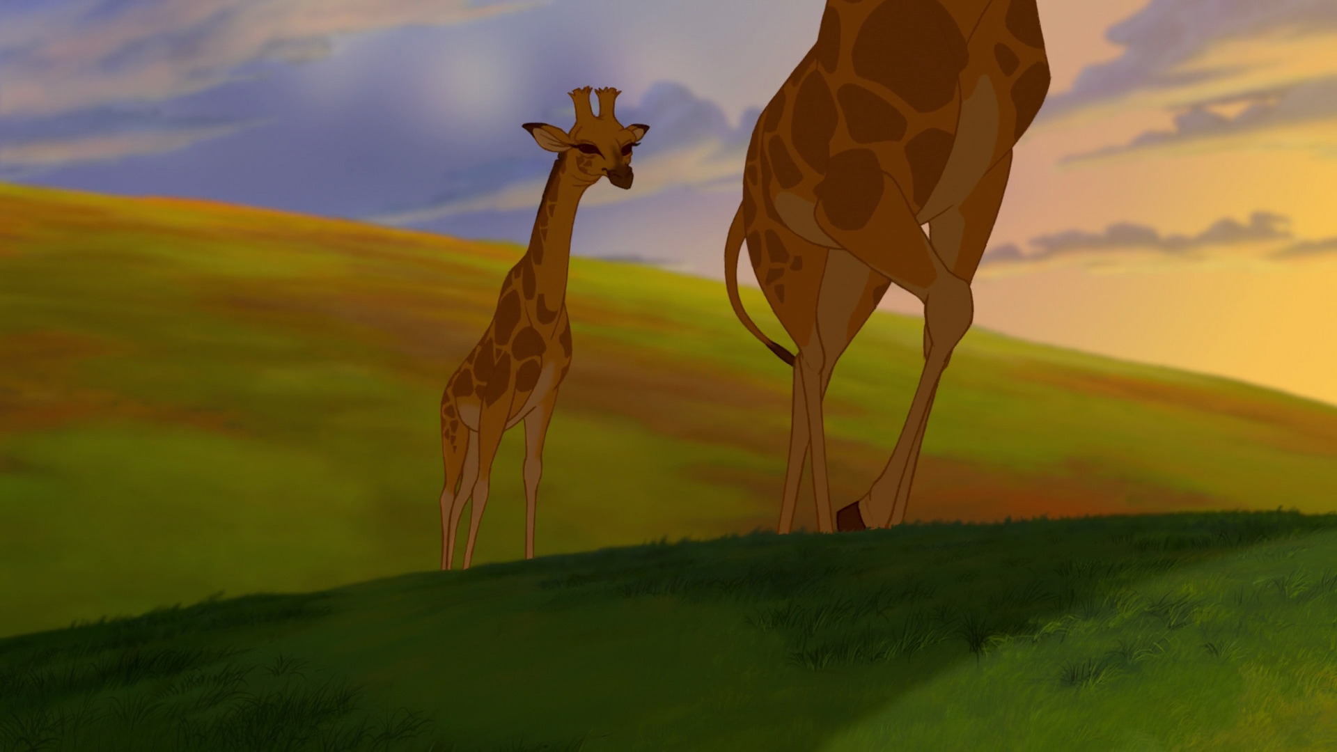 Giraffe | Animals Wiki | Fandom