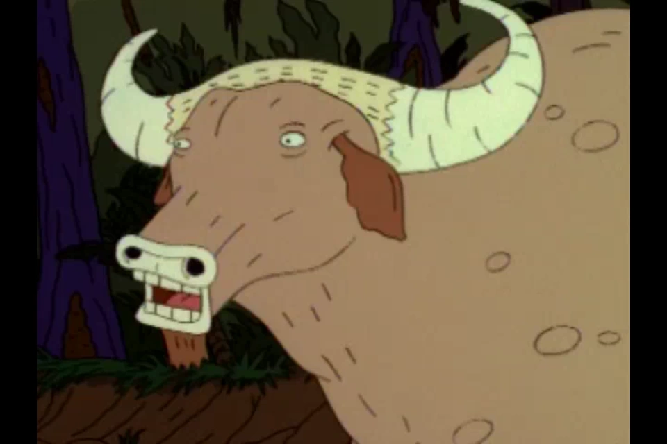 Wild Water Buffalo Animals Wiki Fandom