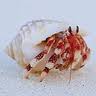 Images-1-