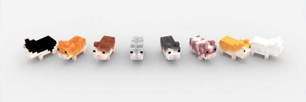 hamsters animania wiki fandom powered by wikia