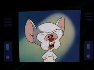 pinky and the brain puppet rulers