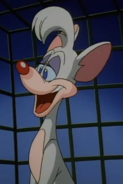 Billie | Animaniacs Wiki | Fandom