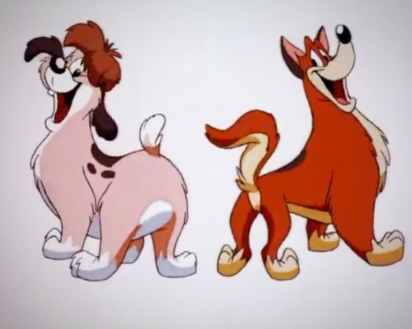 download buttons the dog animaniacs