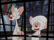 Episode 40: Casablanca Opening/Fair Game/The Slapper/Puppet Rulers | Animaniacs Wiki | FANDOM