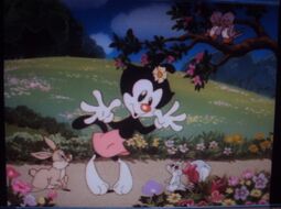 I'm Cute (song) | Animaniacs Wiki | FANDOM powered by Wikia Of woman can minerva mink mink a mink side pausing cameo dougwinger likes gems of mindy.