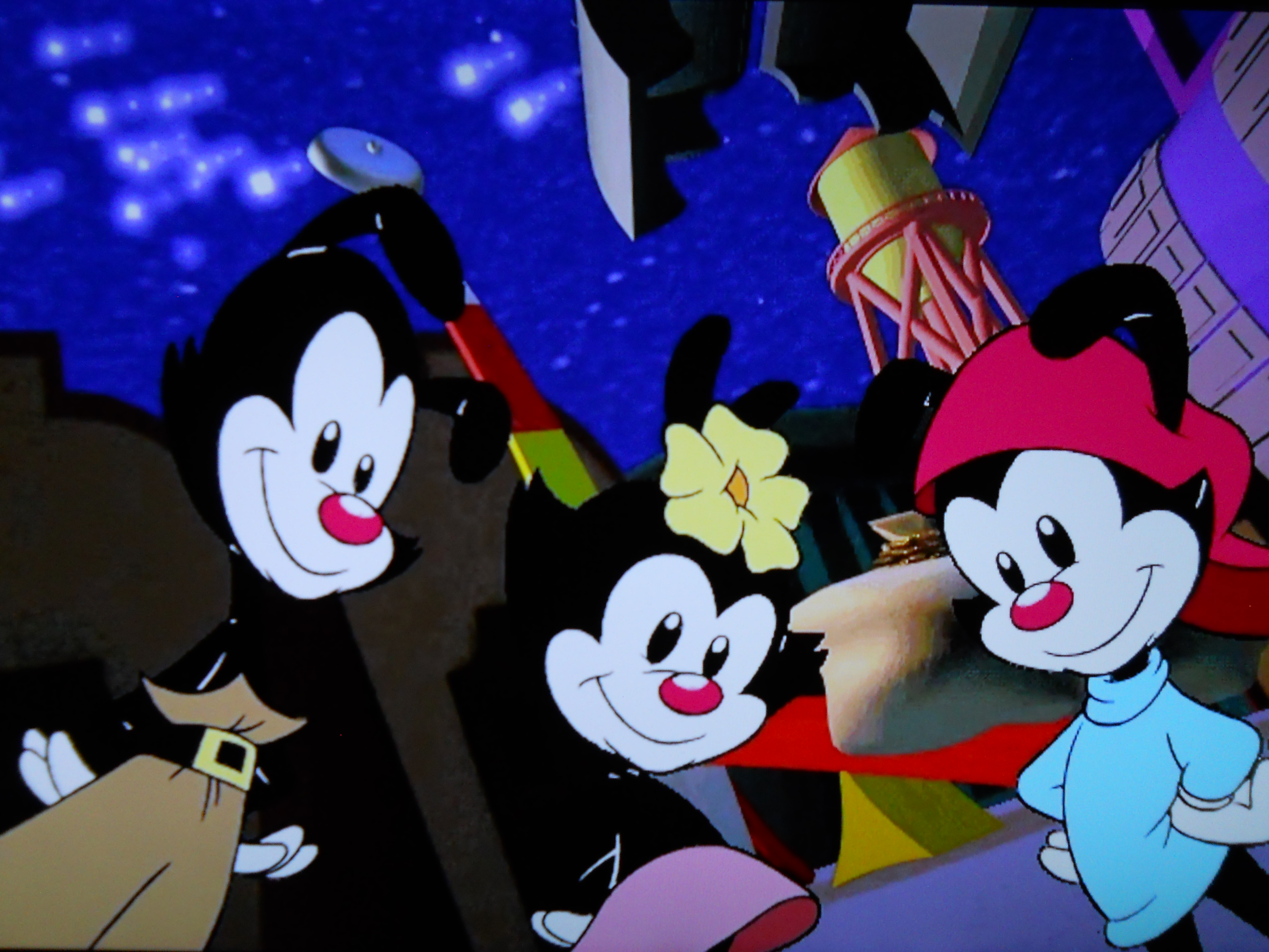 Animaniacs Splat Ball