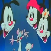 Pinky y Cerebro apertura