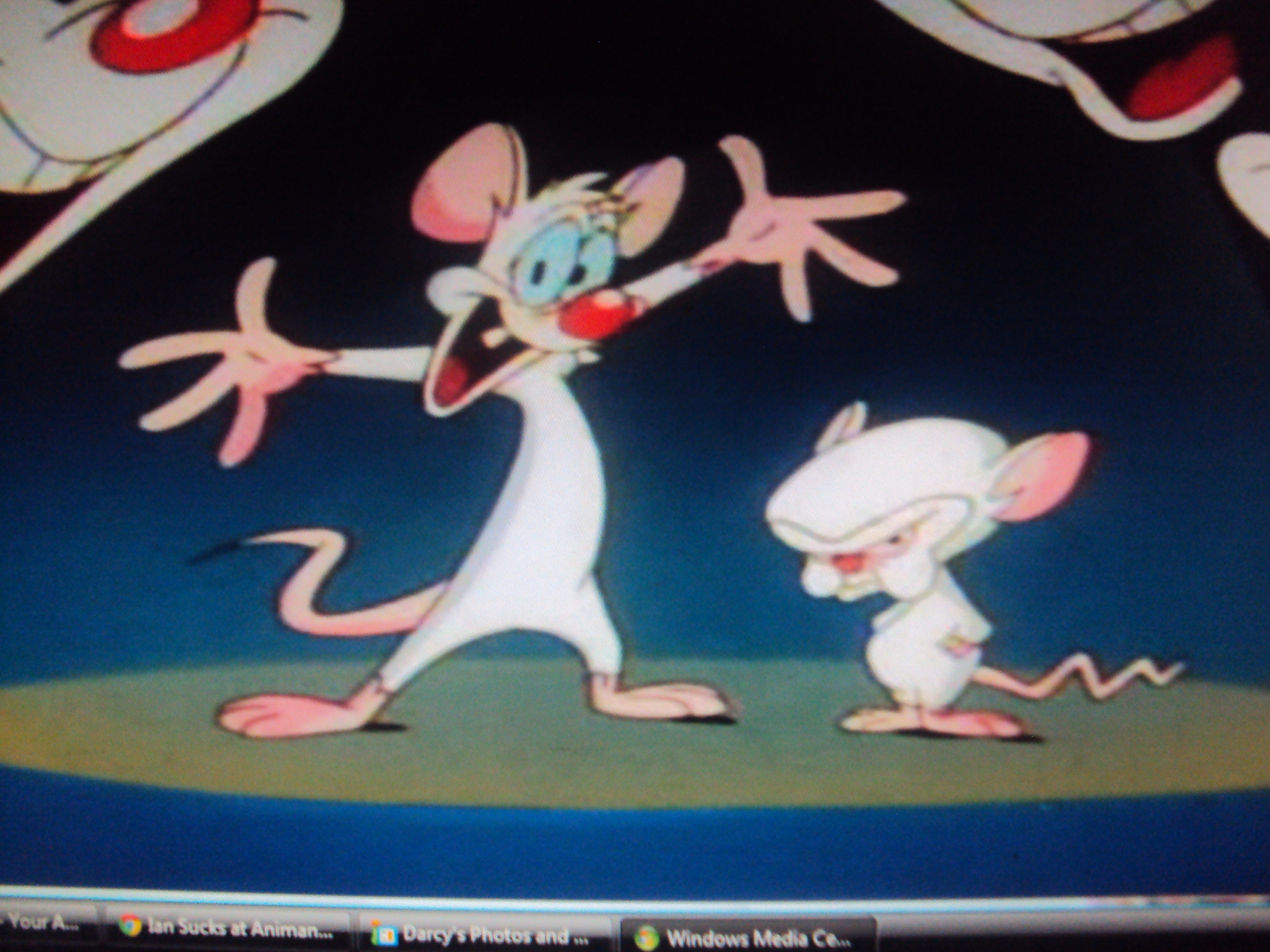 download new pinky and the brain