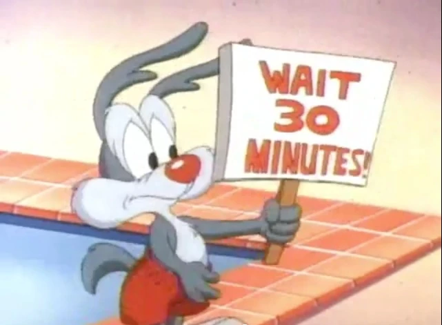 Calamity Coyote Animaniacs Wiki FANDOM Powered By Wikia
