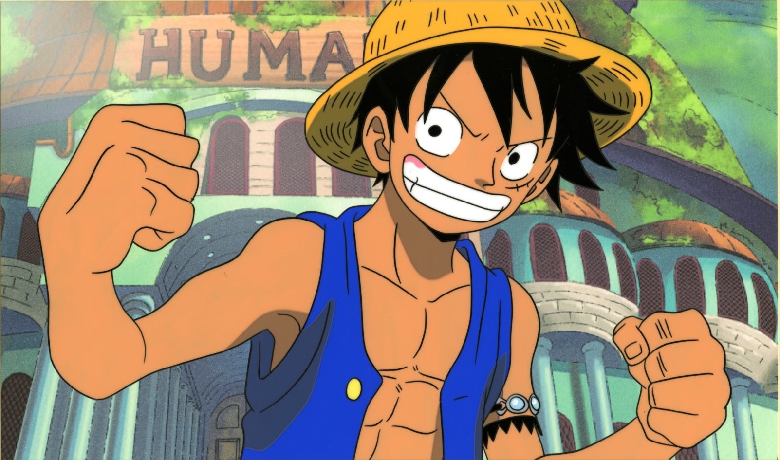 Monkey d luffy wiki animapedia fandom powered by wikia