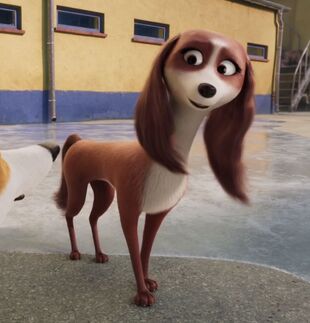 Wanda | Animated Animals Wiki | Fandom