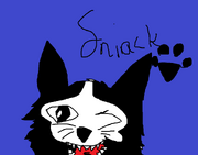 Sniack