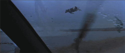 Image result for cow flying by gif