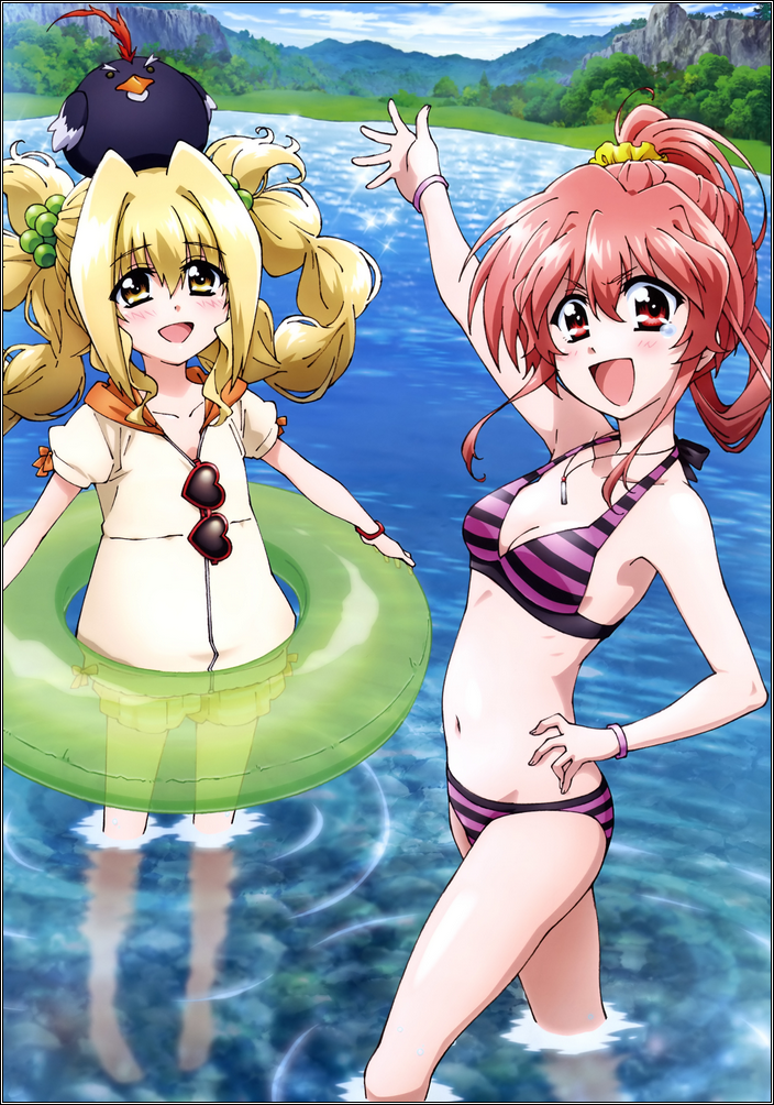 MSLN Iris (1)