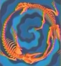 Fossile Fusion