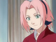 Sakura.Haruno