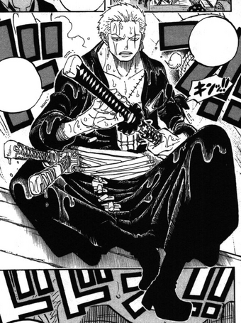 Roronoa Zoro History The Final Sea The New World Saga Anime And