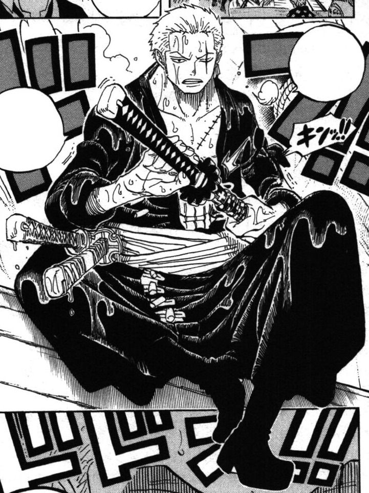 Roronoa Zoro History The Final Sea The New World Saga