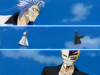 Ichigo Vs Grimmjow 11 Second Battle Anime And Manga Universe