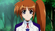 Mgln nanoha0010