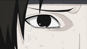 Sai Crying