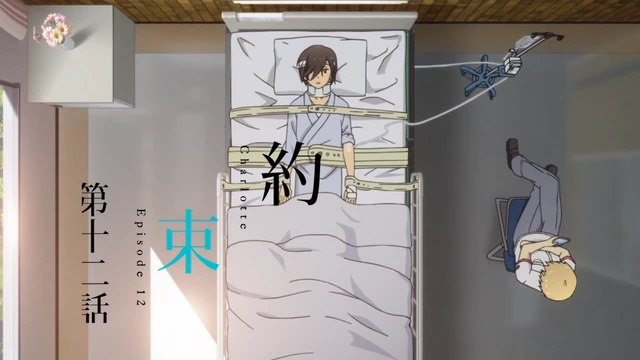 Image - Charlotte Ep 12 Title.png | AnimeVice Wiki | FANDOM powered by