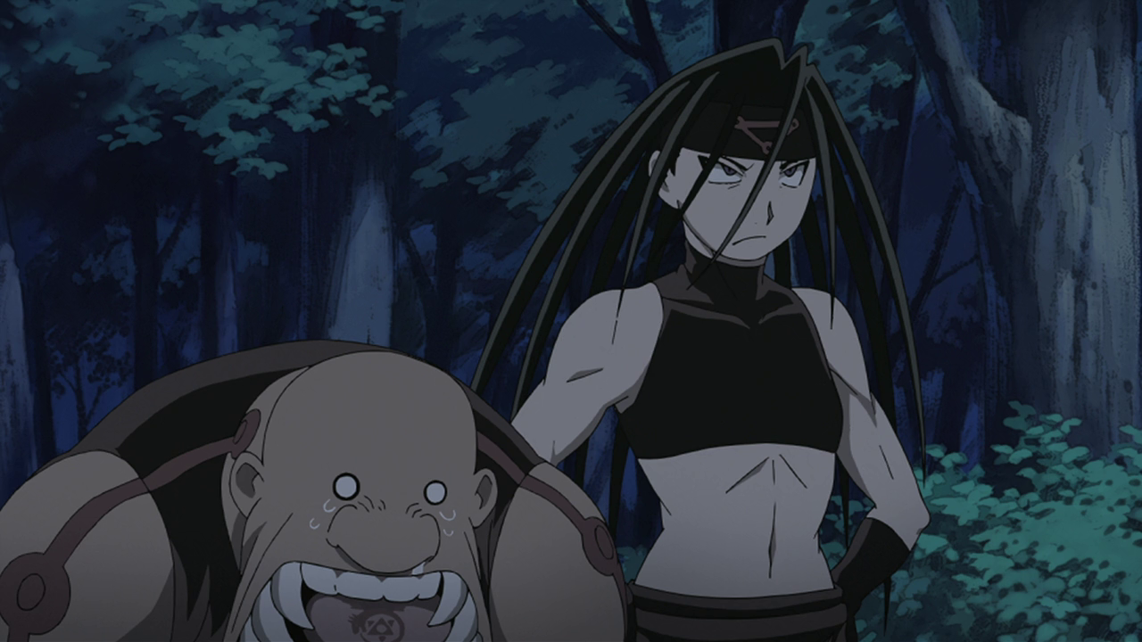 Fullmetal Alchemist Brotherhood Gogoanime - The elric brothers adjust