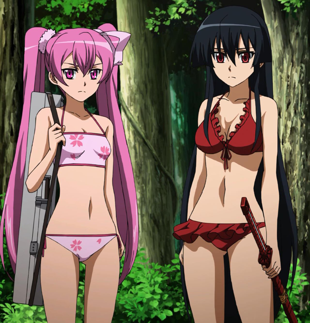 Image Mine And Akame Swimwear Stitched Cap Agk Ep15 Animevice Wiki Fandom Powered By 