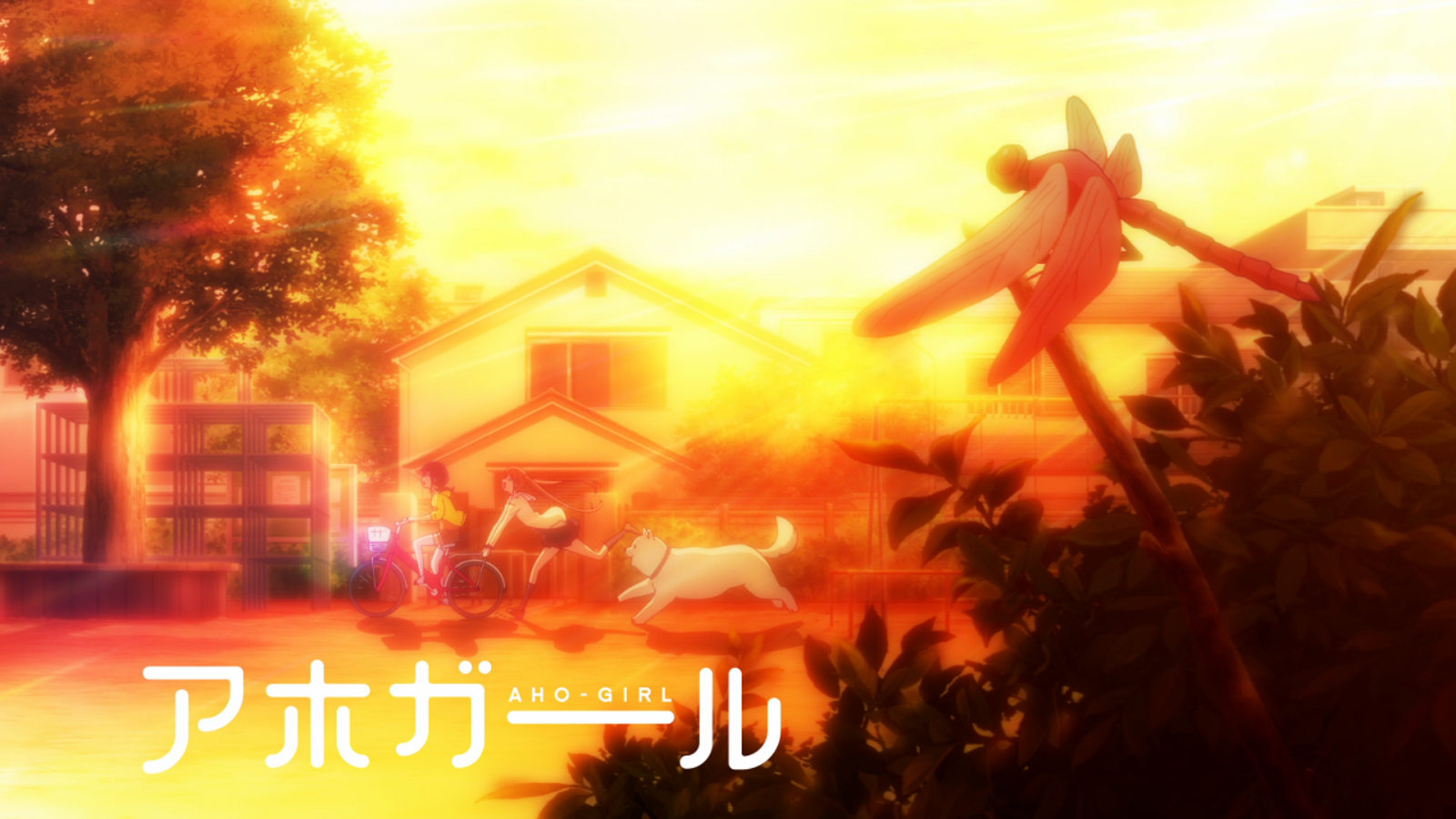 Episode 11 (Aho Girl)/Image Gallery | AnimeVice Wiki | Fandom