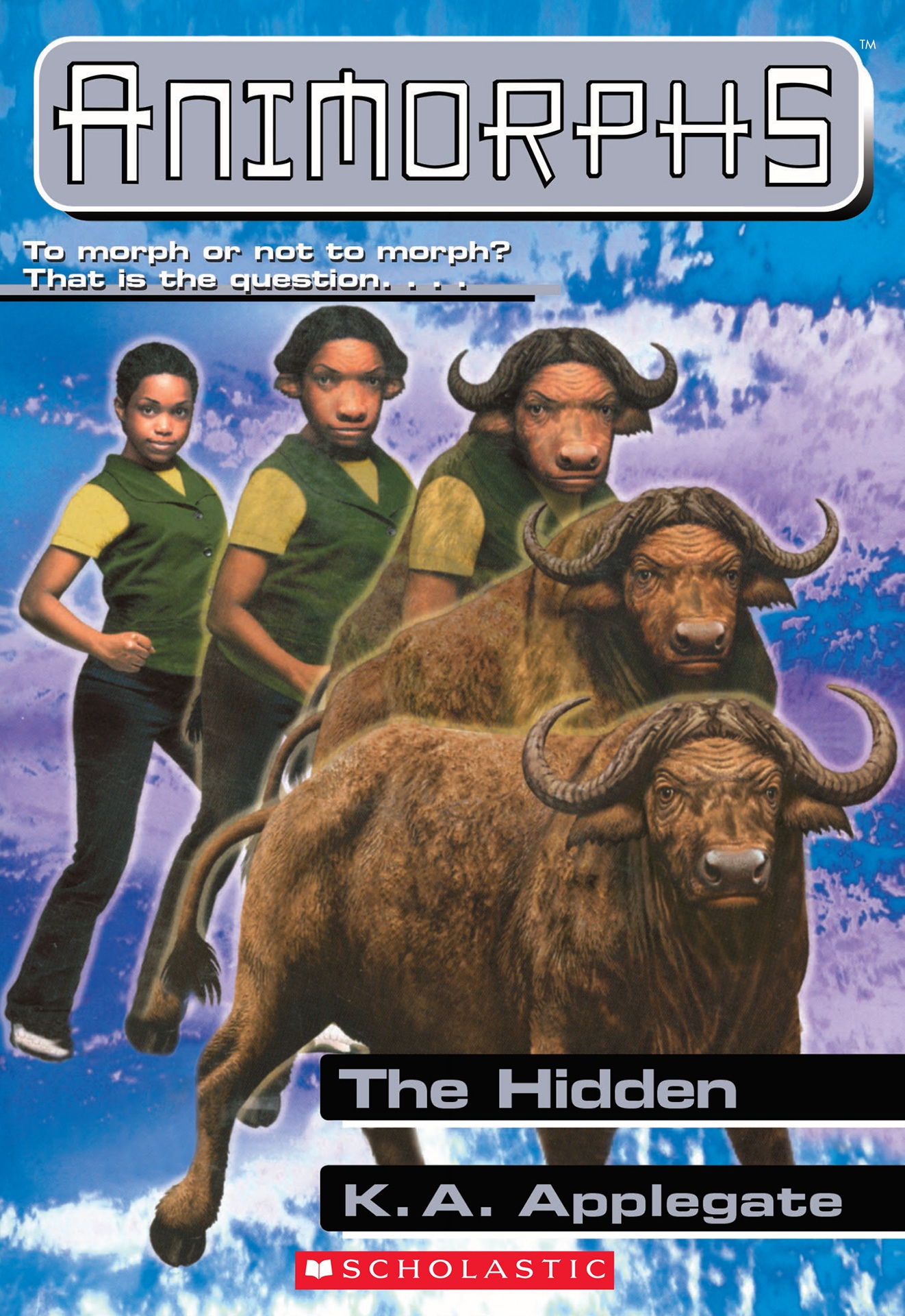 The Hidden Seerowpedia Fandom