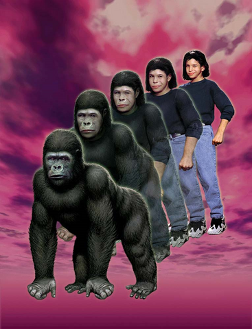 File:MarcoToGorilla.png