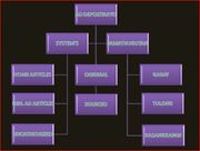 CATEGORY TREE