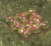 FlowBed
