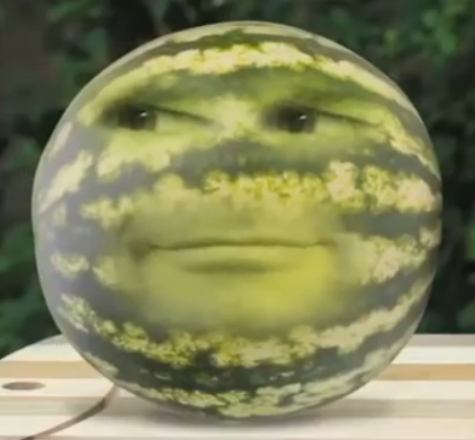  Watermelon  Picnic Massacre Annoying  Orange  Wiki 