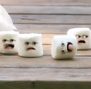 Annoying Orange Marshmallow Dies