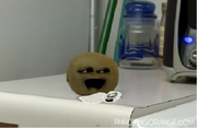 Kiwi about to explode