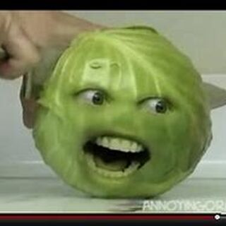 Annoying Orange Excess Cabbage Annoying Orange Wiki Annoying Orange Excess Cabbage Annoying Orange Wiki