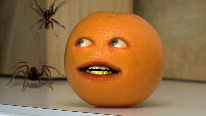 Image Spiders Hehe Annoying Orange Wiki Fandom Powered By Wikia