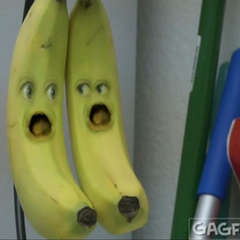  Bananas  Annoying  Orange  Wiki Fandom