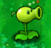 peashooter teddy