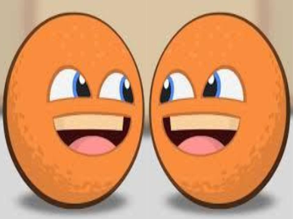 Annoying Orange:More Annoying Orange | Annoying Orange Animated Wikia
