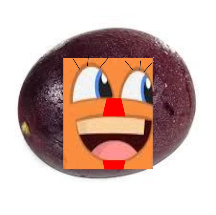 Passion Fruit Annoying Orange Animated  Wikia FANDOM 
