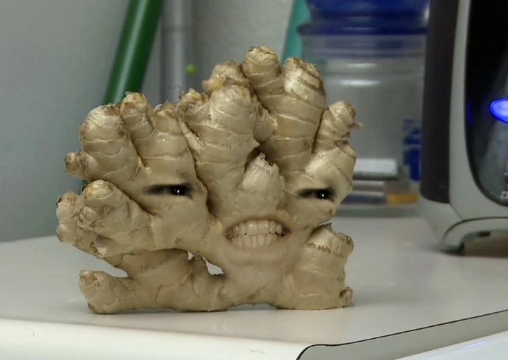 Ginger Annoying Orange Fanon Wiki FANDOM powered by Wikia