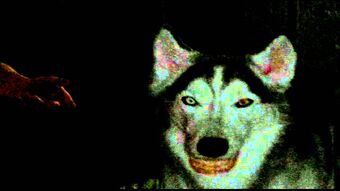 Smile Dog Annoying Orange Fanon Wiki Fandom - sad dog roblox