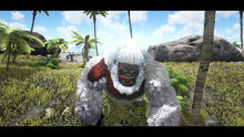 Megapithecus