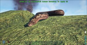 Elite Titanoboa