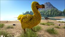 Golden Dodo